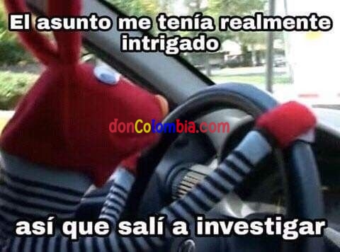 sali a investigar.jpg