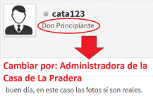 cata123.png