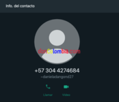 Captura de Pantalla 2023-12-30 a la(s) 9.51.57 p. m..png