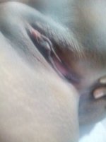 WhatsApp Image 2019-08-15 at 18.38.05.jpeg