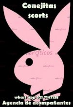 conejitas2.jpg
