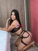 20326dafde33769adc21a8271ad81650.webp
