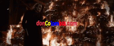 24325.gif