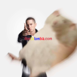 27013.png