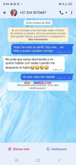 Screenshot_20261029_204551_WhatsApp.jpg