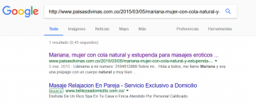 resultado-busqueda-google.png