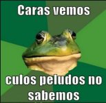 WhatsApp Image 2020-12-23 at 4.51.09 PM.jpeg