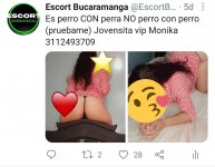 WhatsApp Image 2021-02-04 at 12.46.26 PM.jpeg