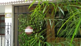 WhatsApp Image 2018-05-18 at 1.02.43 PM.jpeg