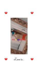 WhatsApp Image 2023-03-30 at 12.26.26 PM (2).jpeg