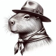 Buscando recomendaciones