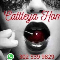 CattleyaHome