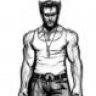 wolverine