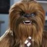 chewbacca