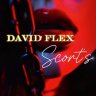 David Flex