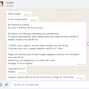 Captura de pantalla (1063).png