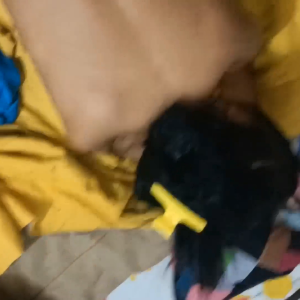 VID_20220701121007.mp4