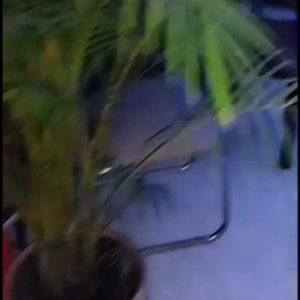 VID-20220725-WA0005.mp4