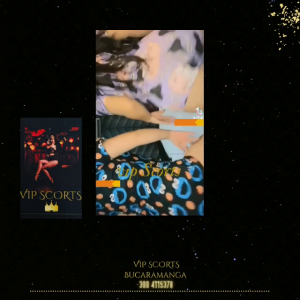 VID-20220905-WA0002.mp4