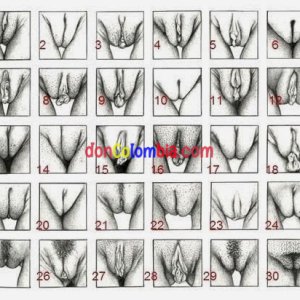 tipos-de-vulvas.jpg