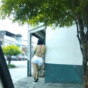 petal_20221120_11352511.mp4