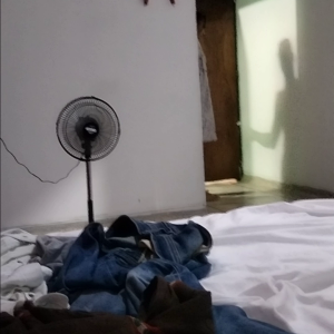 VID20230207191145.mp4