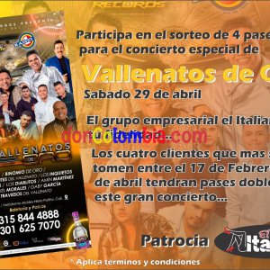 VOLANTES CONCIERTO.jpg