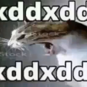 WhatsApp Video 2023-08-22 at 11.51.28 AM.mp4