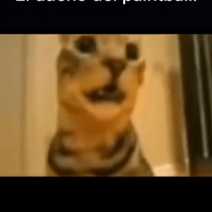 WhatsApp Video 2023-08-22 at 12.22.27 PM.mp4