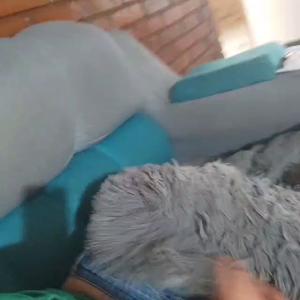 VID-20240120-WA0019.mp4