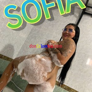 WhatsApp Image 2024-02-06 at 11.52.29 AM.jpeg