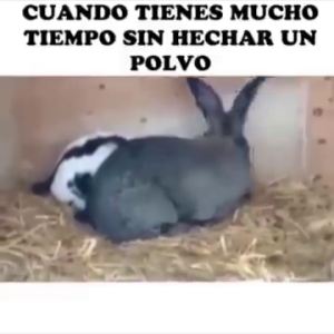 436426928_364054396655110_2898836853442400573_n.mp4