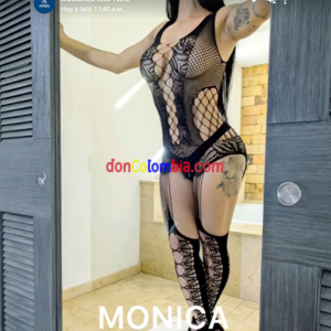 Captura de pantalla 2024-07-08 160420.png