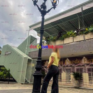 cristal cerezos 5.jpg