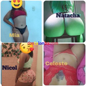 WhatsApp Image 2025-01-06 at 1.14.33 PM.jpeg