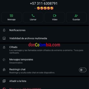 Captura de pantalla 2025-04-07 064540.jpg