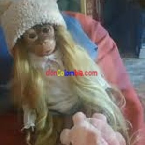 images (27) (31).jpeg