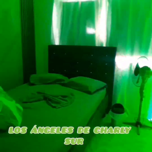 Video.Guru_20250705_020920379.mp4