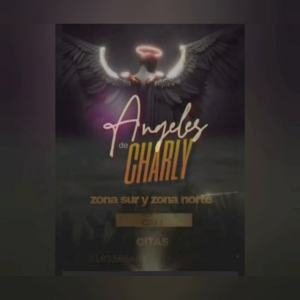 Video.Guru_20250705_014812481.mp4