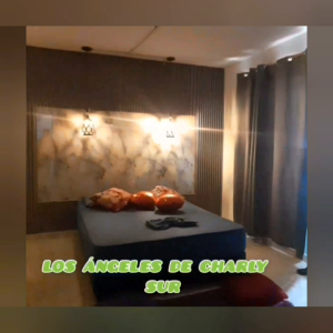 Video.Guru_20250705_015725370.mp4