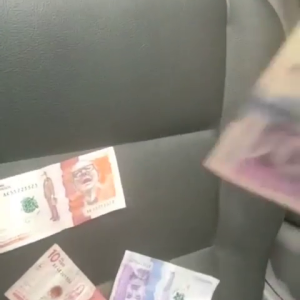 VID_20250818_180657_768.mp4