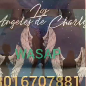 VID-20250625-WA0030.mp4