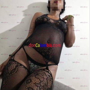 Captura de pantalla 2026-02-02 190141.png