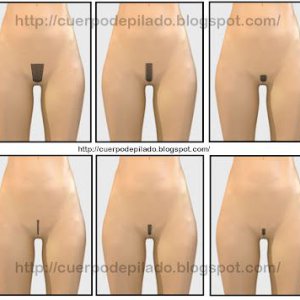 cuerpo+depilado_formas+depilacion+pubis+sexys_recortar+vello+pubico-1l.jpg