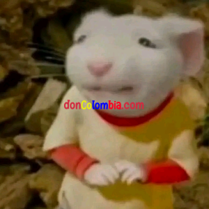 1785982681683.png
