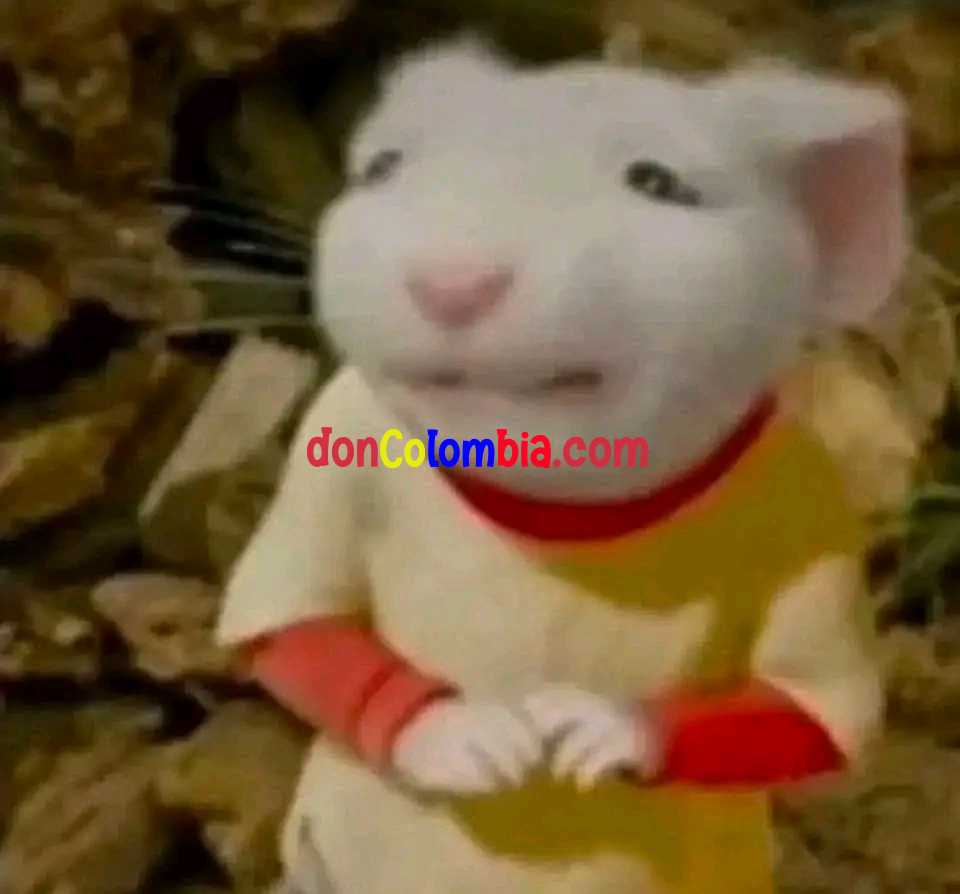 1785982681683.png