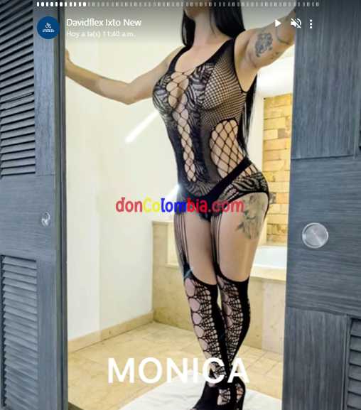 Captura de pantalla 2024-07-08 160420.png