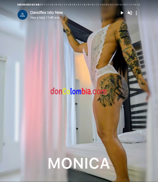 Captura de pantalla 2024-07-08 160757.png