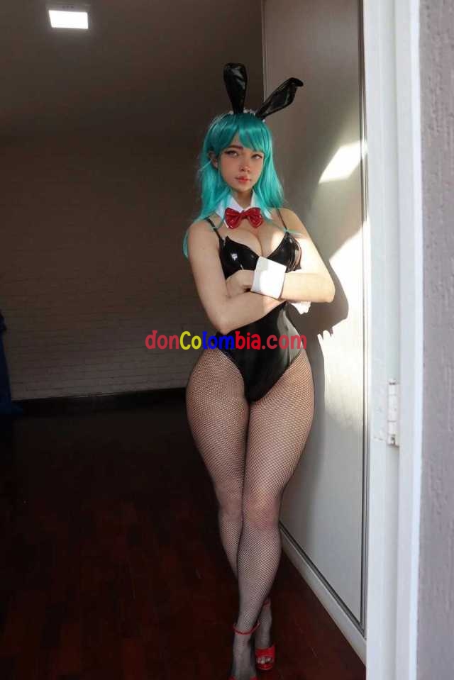Dragon-Ball-–-Mel-trae-a-la-vida-a-Bulma-vestida-de-coneja-.jpg