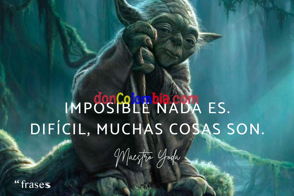 frases_de_yoda_561_orig.jpg